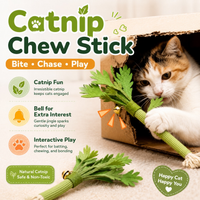 Catnip Molar Stick – Chew, Clean & Play Cat Toy