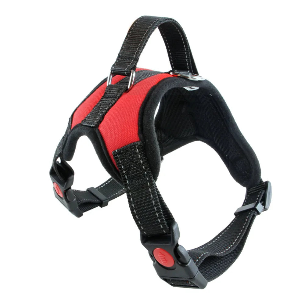 Comfort Fit Harness Vest for Dogs — No-Pull, Padded & Adjustable