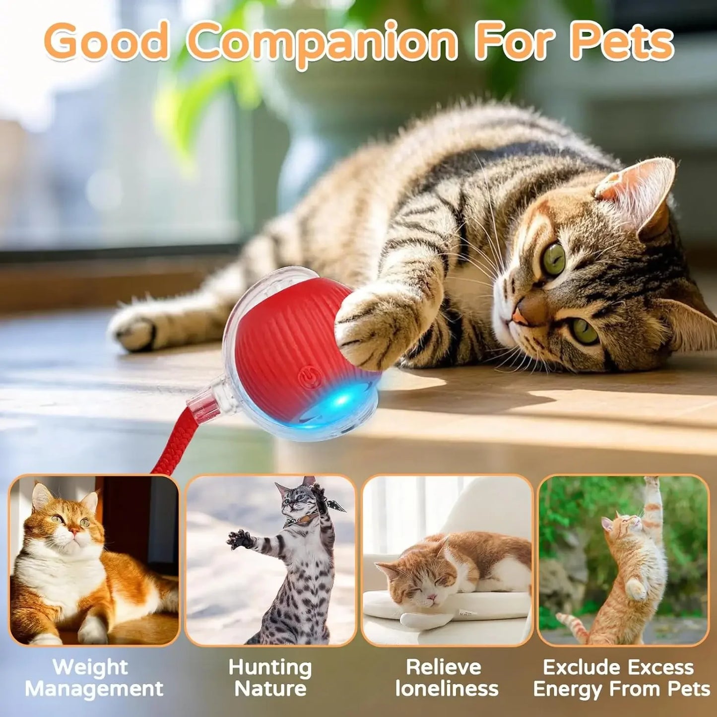 Nexivo™ Interactive Rolling Ball Toy – Rechargeable Smart Pet Chase Ball