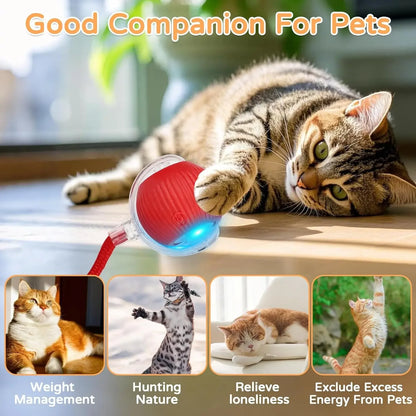 Nexivo™ Interactive Rolling Ball Toy – Rechargeable Smart Pet Chase Ball