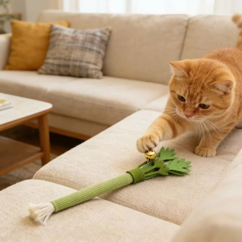 Catnip Molar Stick – Chew, Clean & Play Cat Toy