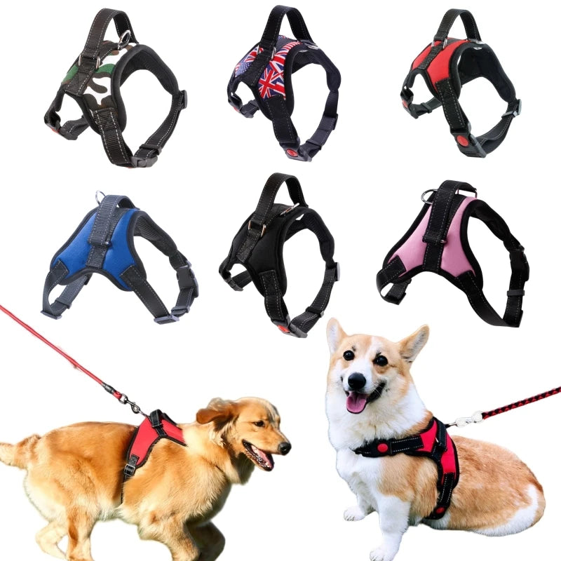 Comfort Fit Harness Vest for Dogs — No-Pull, Padded & Adjustable