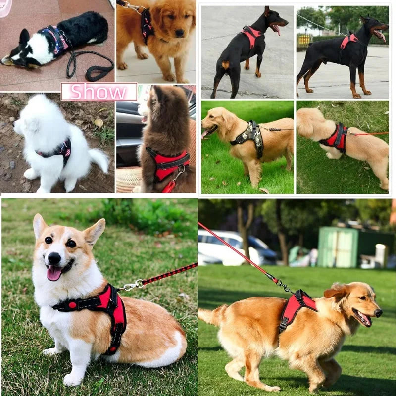 Comfort Fit Harness Vest for Dogs — No-Pull, Padded & Adjustable