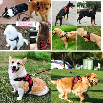 Comfort Fit Harness Vest for Dogs — No-Pull, Padded & Adjustable