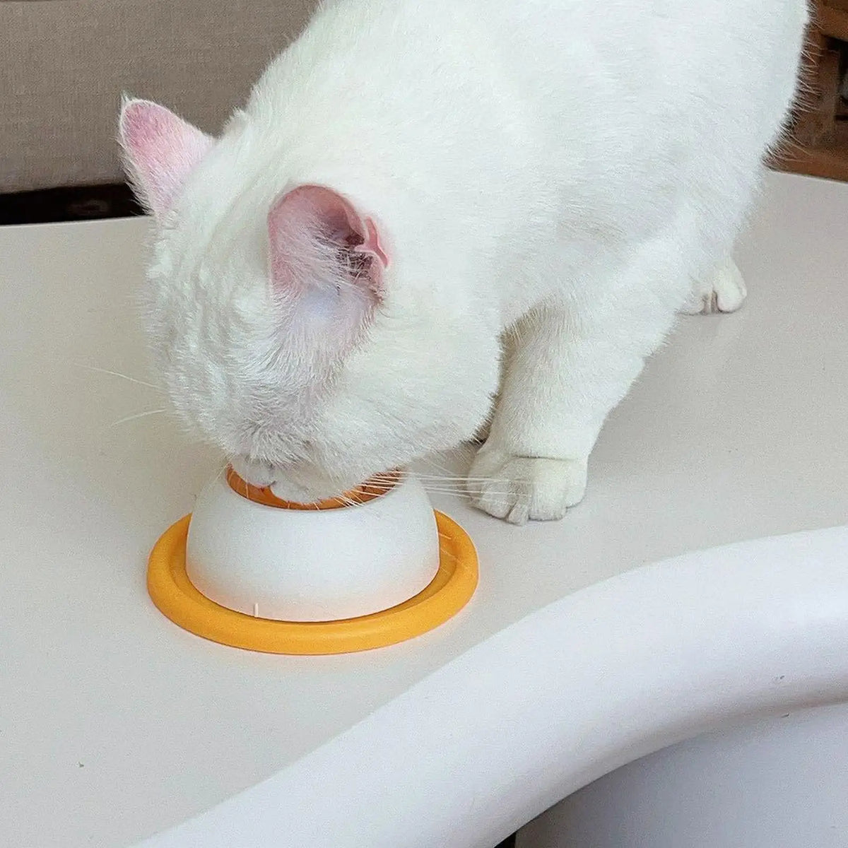 Pet Licking Bowl – Slow Feeder & Interactive Lick Toy for Dogs & Cats