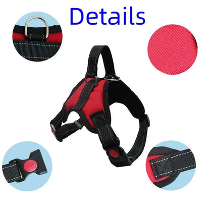 Comfort Fit Harness Vest for Dogs — No-Pull, Padded & Adjustable