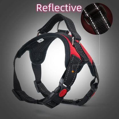 Comfort Fit Harness Vest for Dogs — No-Pull, Padded & Adjustable
