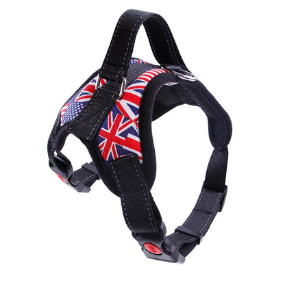 Comfort Fit Harness Vest for Dogs — No-Pull, Padded & Adjustable