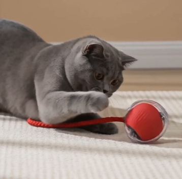 Nexivo™ Interactive Rolling Ball Toy – Rechargeable Smart Pet Chase Ball